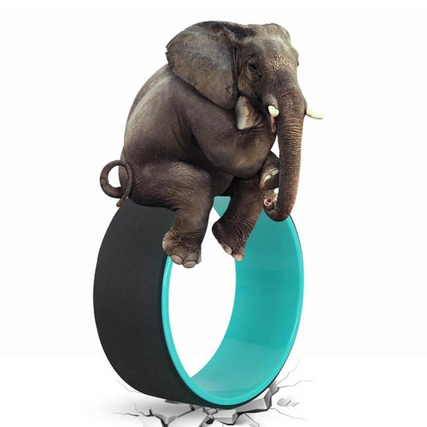 TPE Yoga Circles Pilates