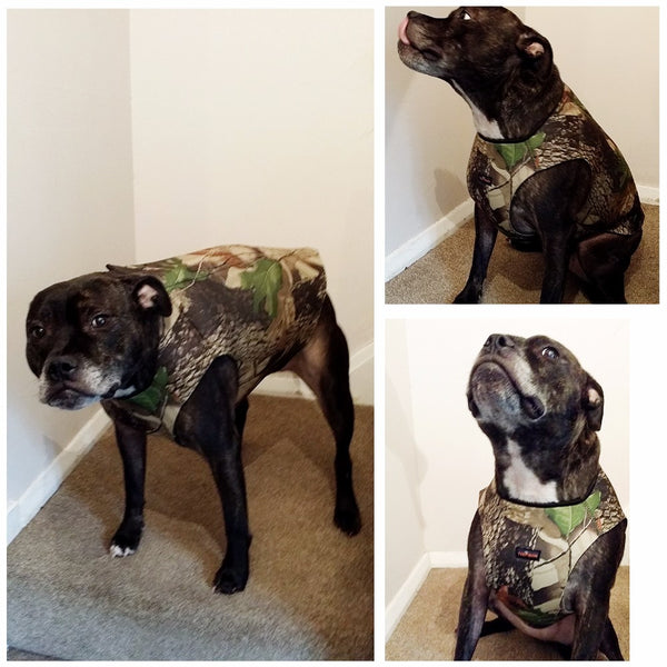 Tactical Hunting Dog  Vest